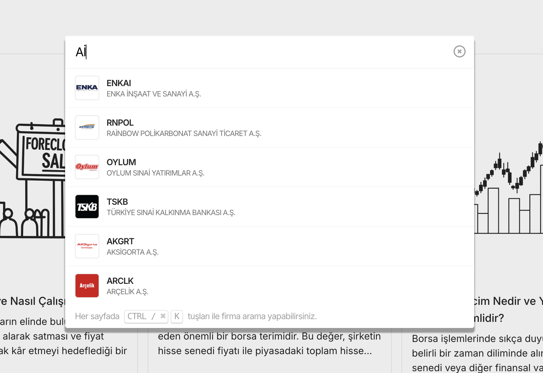 Firma arama paneli